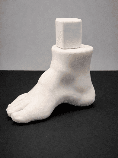 3D Anatomical Models