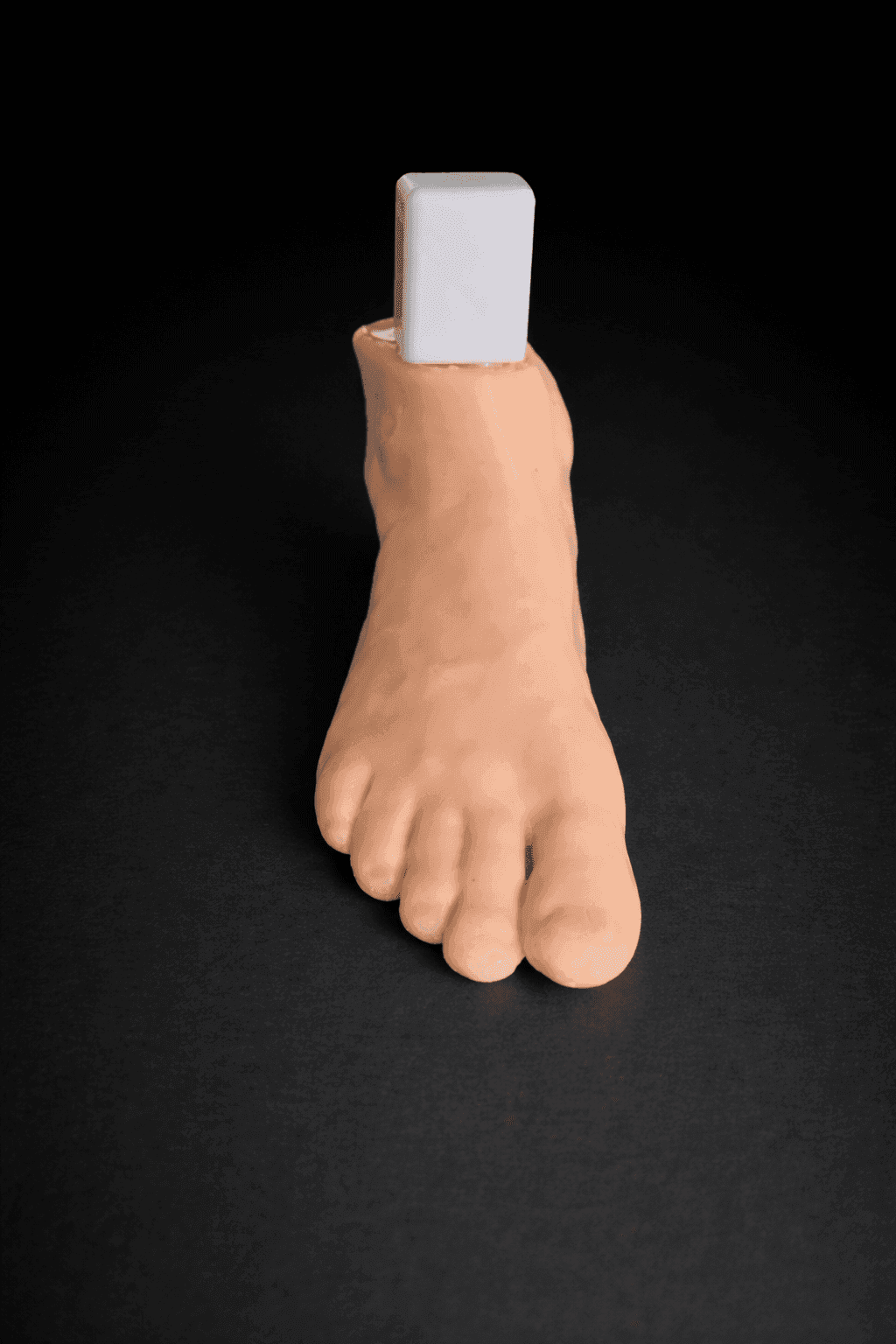 Talus OCD – Ankle Arthroscopy Trainer