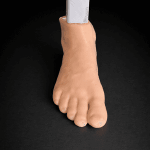 Talus OCD - Ankle Arthroscopy Trainer